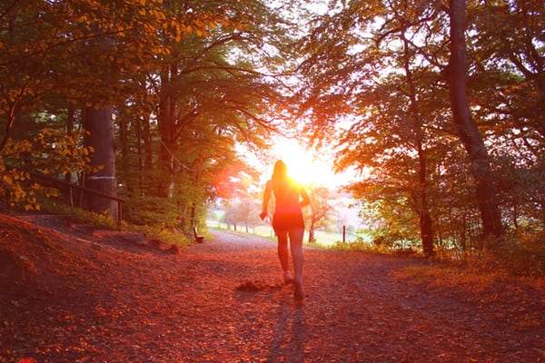 Vitamin D used to boost immune system.